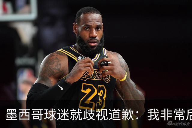 墨西哥球迷就歧视道歉：我非常后悔，已辞去工程师协会职务