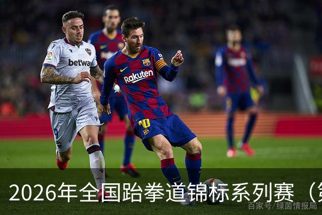 2026年全国跆拳道锦标系列赛（第二站）在广州举行